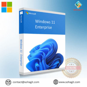 Microsoft Windows 11 Enterprise CD Key Genuine License