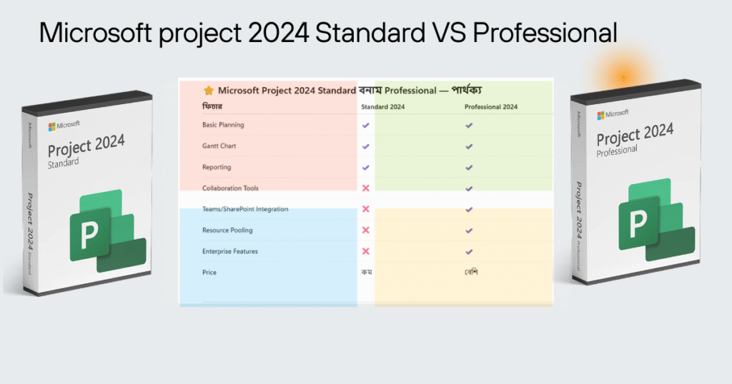 Microsoft Project 2024 Standard vs Professional comparison