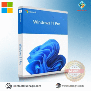 Microsoft Windows 11 Professional | Microsoft CD Key