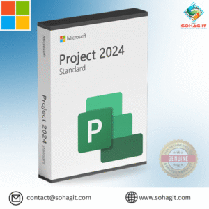 Microsoft Project 2024 Standard