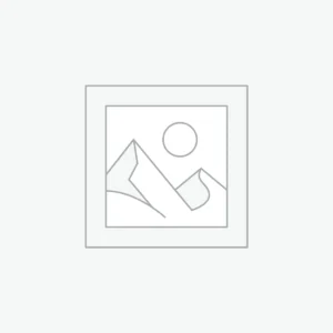 AI and Educational Tools